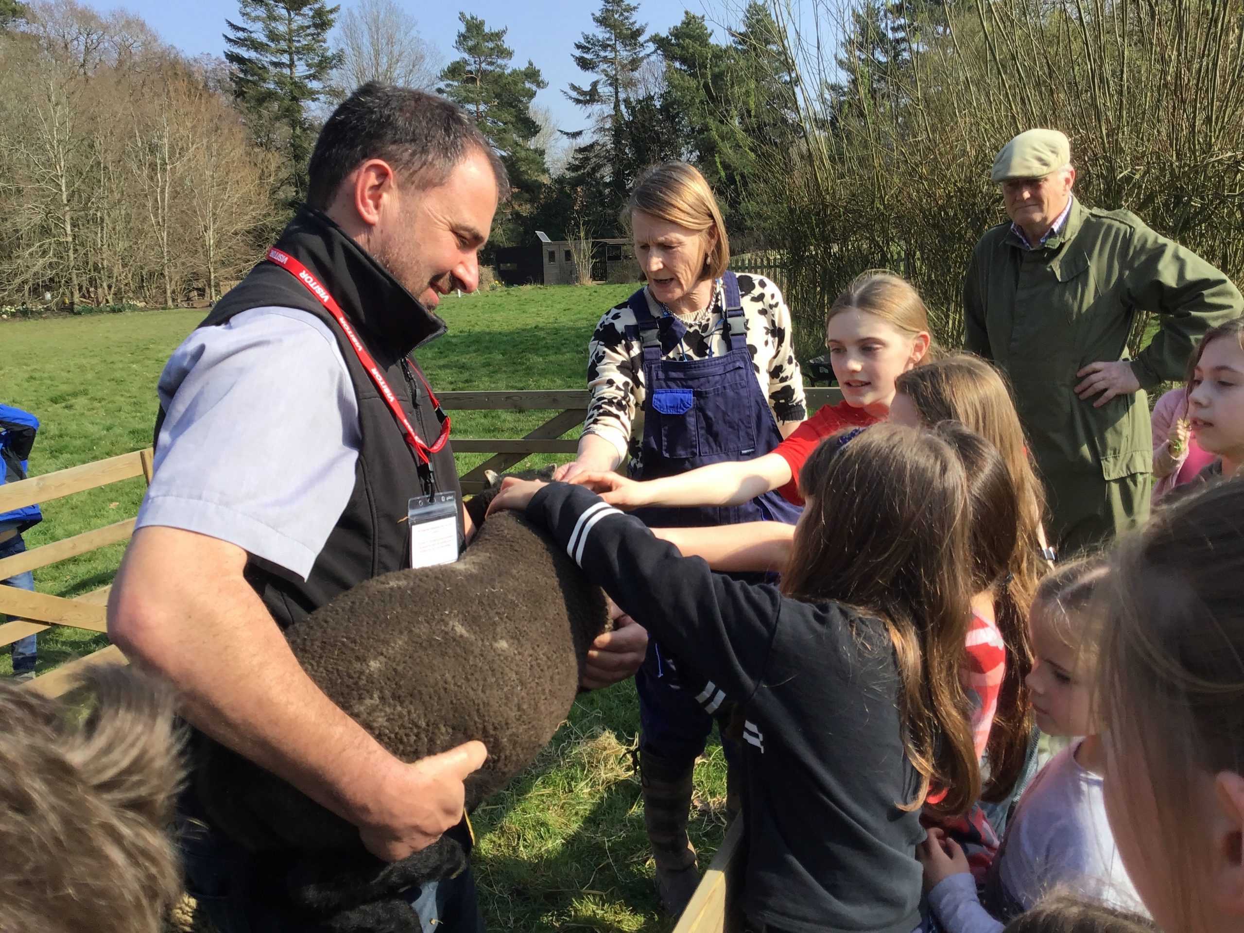 It’s baa-tastic!  Norfolk school welcomes lamb into lessons