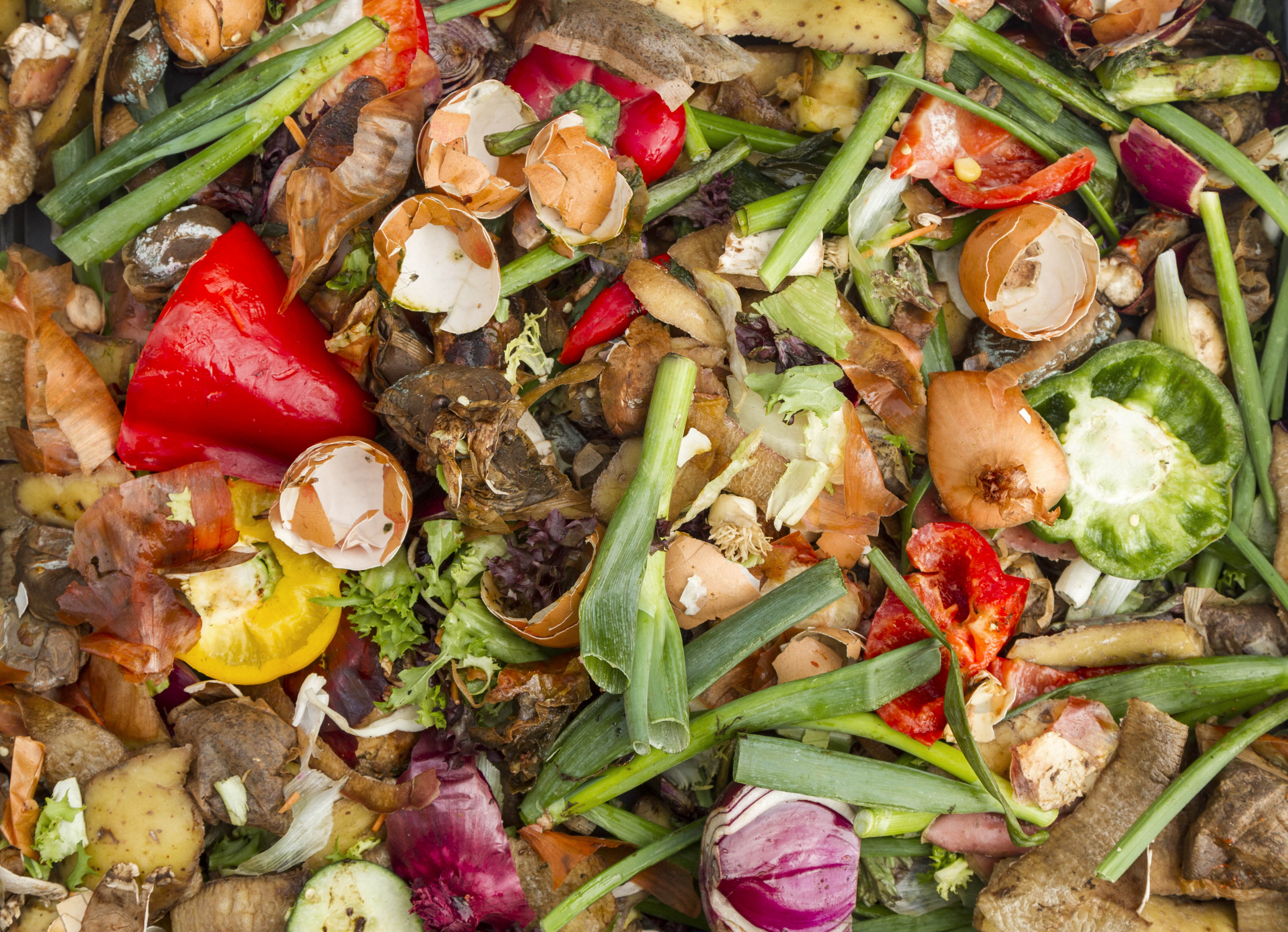 Food waste management: lobbying success for foodservice equipment industry